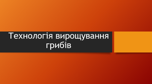 Технологія вирощування грибів (від підготовки до збору урожаю)