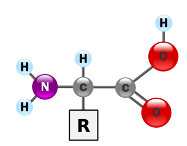 0301iki3-d6d2-376x294.png
