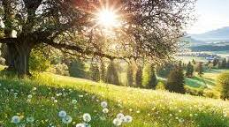 Environmental Problems 10-11