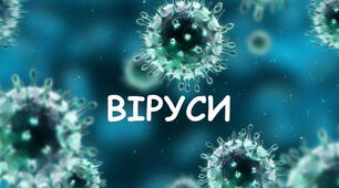 ПОРІВНЯЛЬНА ХАРАКТЕРИСТИКА НЕКЛІТИННИХ ФОРМ ЖИТТЯ