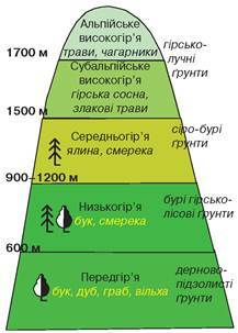 0301is0b-1d33-217x303.jpg
