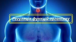 Механізми регуляції функцій організму людини.