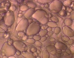 0301itic-8e64-253x199.jpg