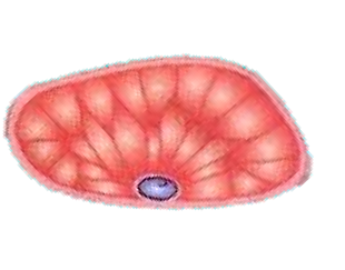0301itlf-7459-310x243.png