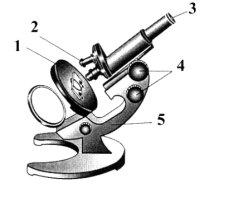 0301iuz9-01fa-225x205.png