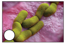 0301iv2c-fdec-231x151.png