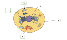 0301ivbg-c1c2-258x156.png