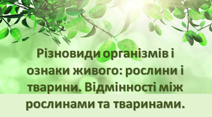 Презентація "Різноманітність організмів і ознаки живого: рослини та тварини. Відмінності між тваринами та рослинами" НУШ