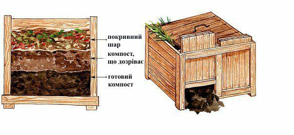 Купа сміття чи компостна яма? – Екоклуб Рівне – природоохоронна громадська організація