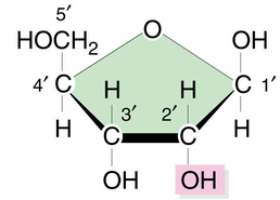 0301j4d1-710b-258x185.png