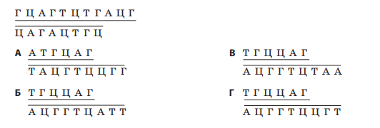 0301j76v-5cd6-532x180.png
