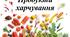 Картки по развитку мовлення для дітей старшого дошкільного віку  "Продукти харчування"