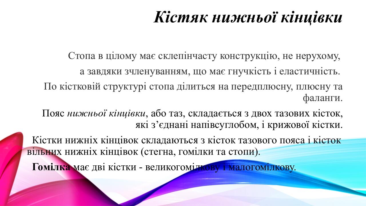 ПРЕЗЕНТАЦІЯ УРОКУ З ПРЕДМЕТУ "СПЕЦТЕХНОЛОГІЯ" НА ТЕМУ «Будова стопи ...