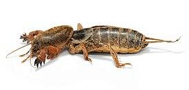 0301jbt1-55b5-275x131.jpg