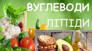 ВУГЛЕВОДИ. ЛІПІДИ 