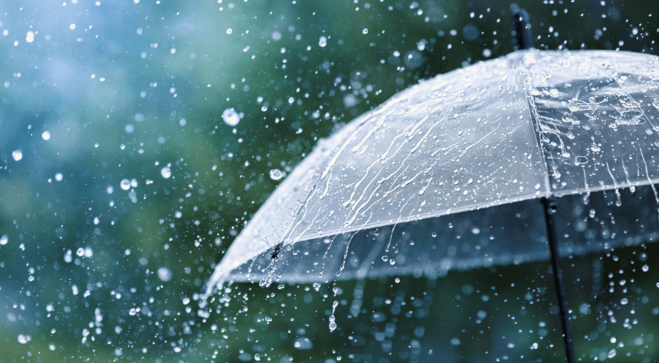 0301jkew-7d06-940x519.png