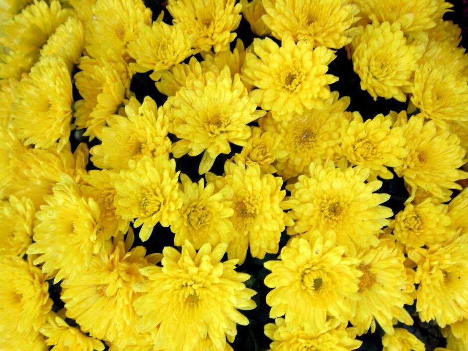 0301jl02-ff89-940x705.jpg