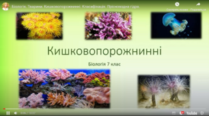 Кишковопорожнинні та кільчасті. 7 клас. 