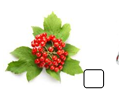 0301jni9-7b4e-119x102.png