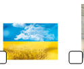 0301jnlw-b385-124x102.png