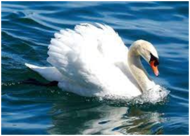 0301jsyh-0161-190x136.png