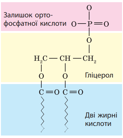 0301jyjd-ea4d-396x445.png