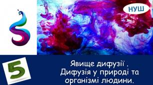 Презентація на тему: " Явище дифузії .Дифузія у природі та організмі людини."