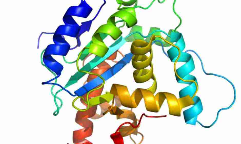 0301k2j7-bc66-940x564.jpg