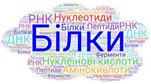 9 клас. Тестування з теми "Органічні речовини. Білки. Нуклеїнові кислоти"_ 2 варіант