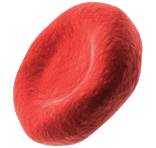 0301k2sj-ad3d-317x300.png
