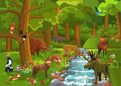 Detail Gambar Animasi Ekosistem Hutan Koleksi Nomer 15