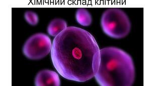 Хімічний склад  клітини