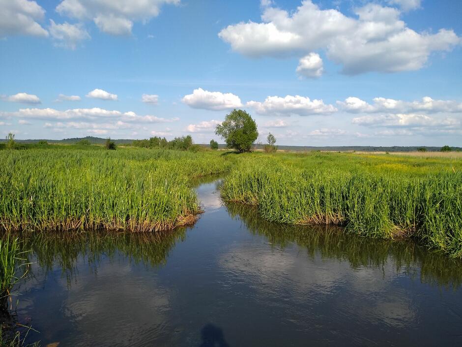 Екосистемні послуги - eba-ukraine-uk