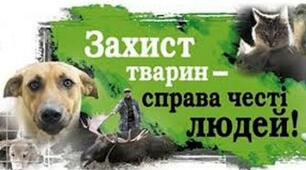 День захисту тварин