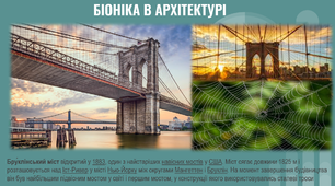 Розробка уроку на тему "БІОНІКА. МЕТОДИ ПРОЕКТУВАННЯ"