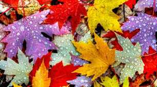  Самооцінювання теми "Нерівності"