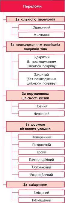 0301kan0-1a16-217x669.jpg