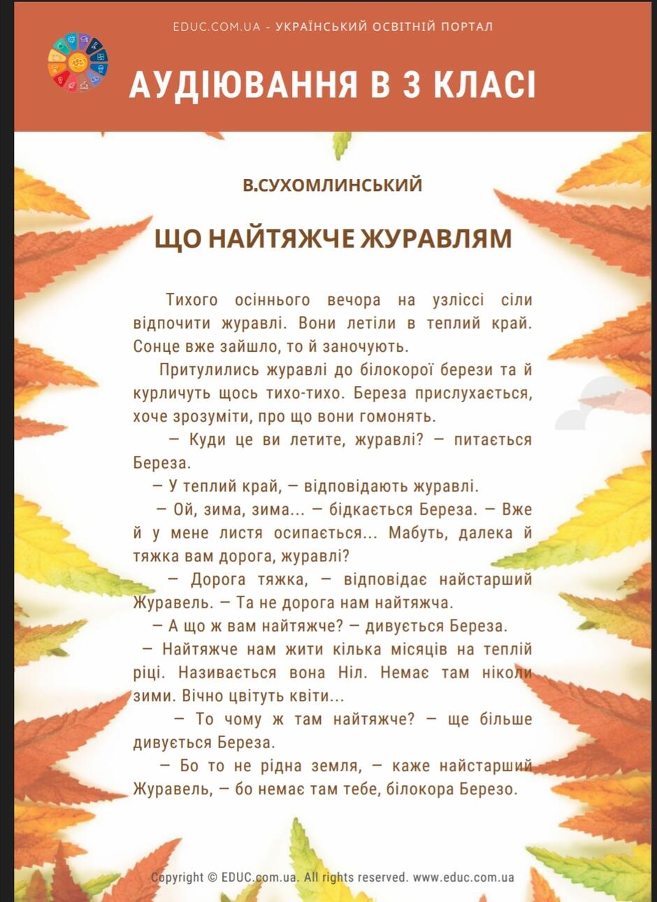 0301kc8h-251c-940x1290.jpg
