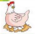 0301kf0n-1169-70x68.png