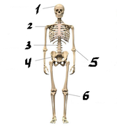 0301kg5v-b99a-168x184.png