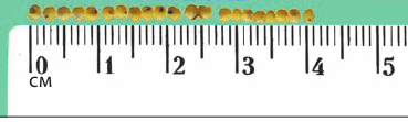 0301kj2b-0623-369x111.png