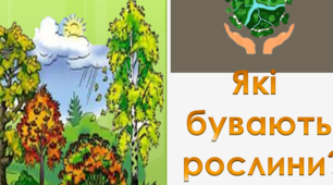 Якими бувають рослини. Органи рослини