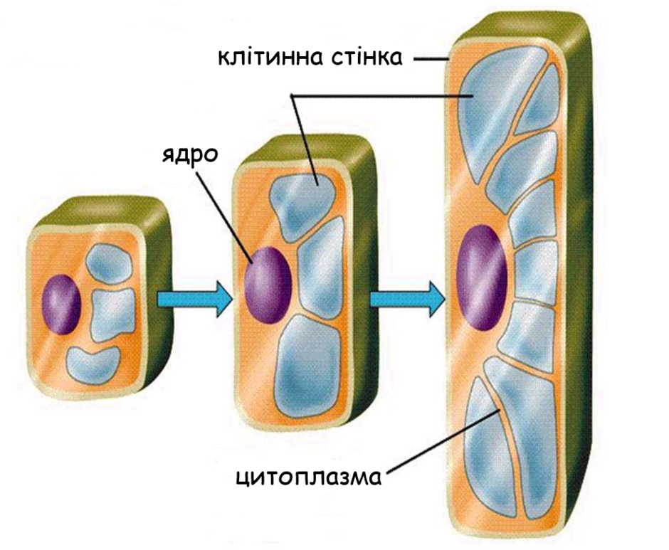 0301knml-6c9b-940x773.png