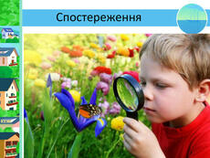 0301knvu-2d06-230x173.jpg