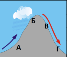0301knw8-20c1-223x190.png