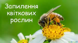 Урок за темою "Запилення квіткових рослин"