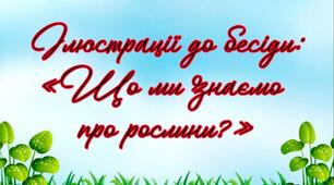 Ілюстрації - картинки до бесіди: "Що ми знаємо про рослини?"