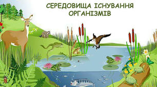 11_клас_Адаптації (Частина 2). Наземно-повітряне, водне та грунтове середовище існування організмів