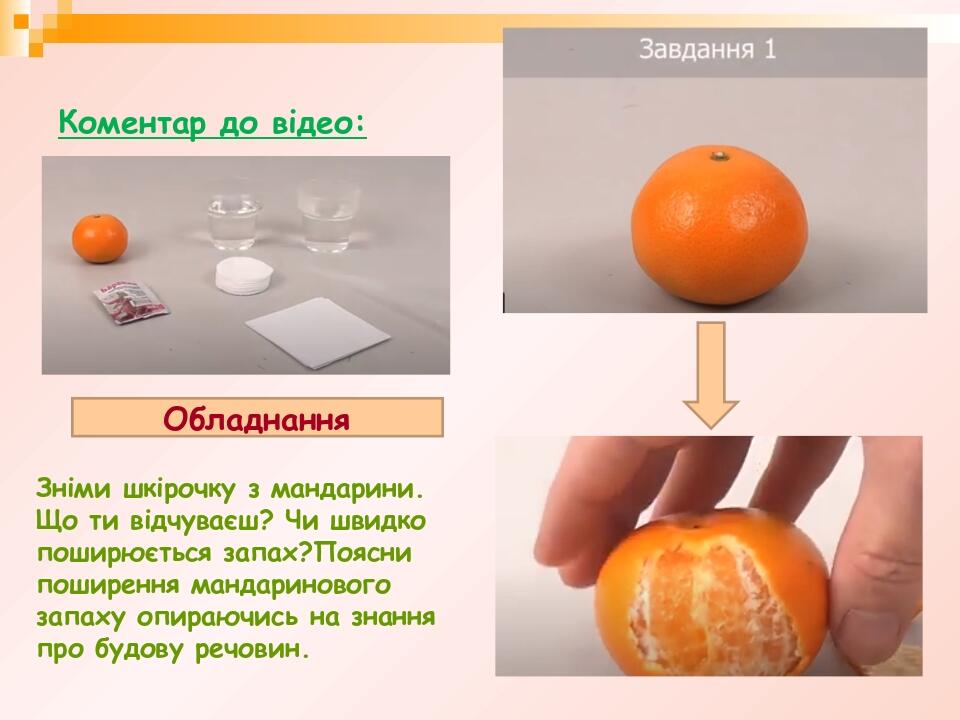 Коментар до відео: Обладнання Зніми шкірочку з мандарини. Що ти відчуваєш? Чи швидко поширюється запах?Поясни поширення мандаринового запаху опираю...