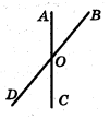 0301kuve-4236-101x109.png